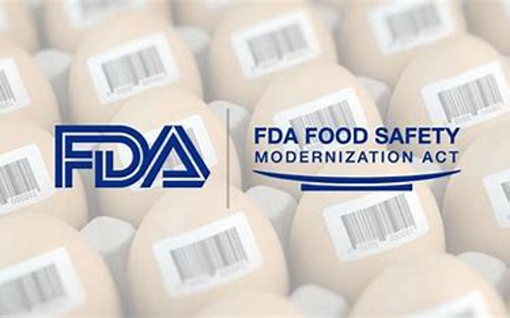 FDA FSMA204