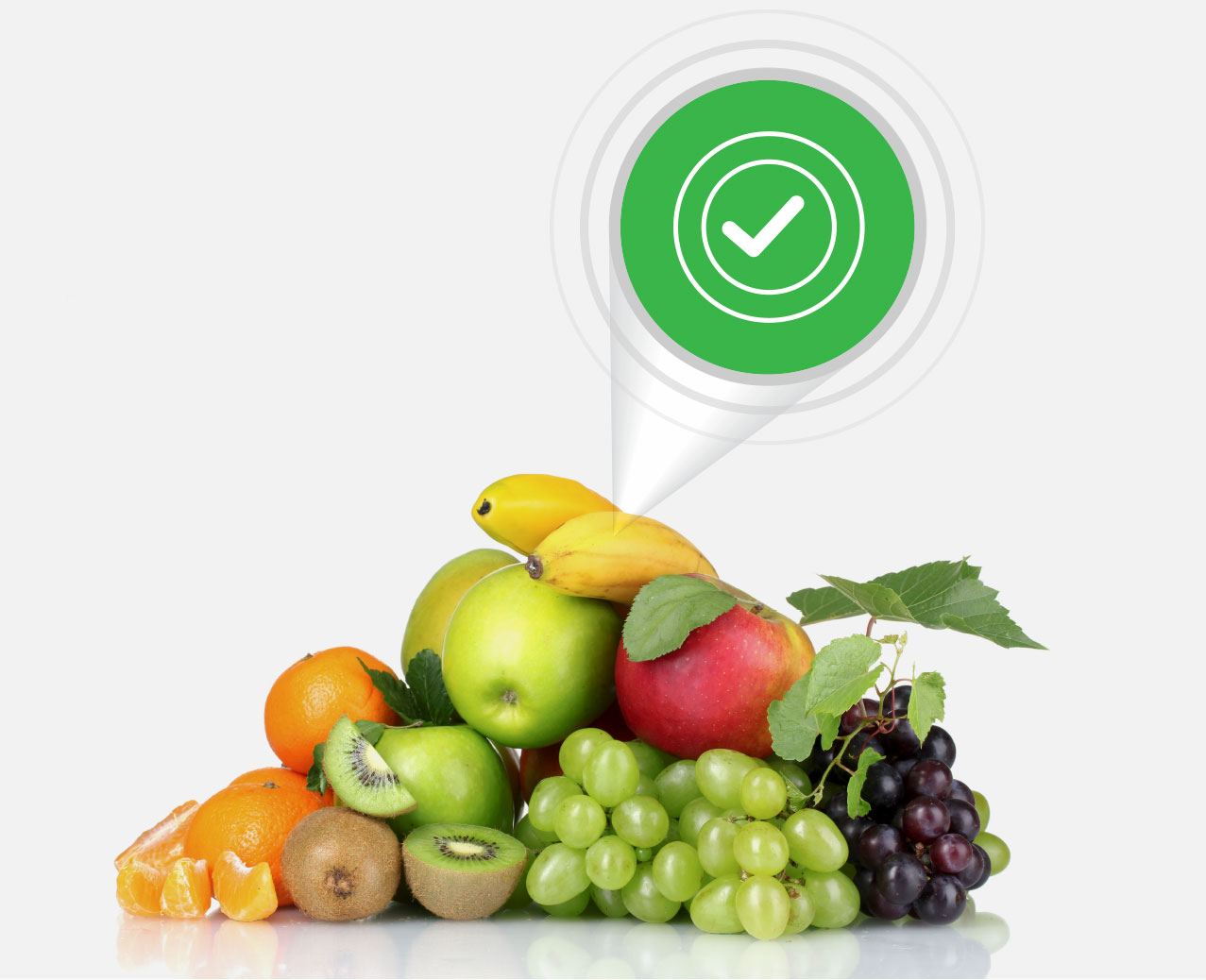 Condition Monitoring - Food Quality
